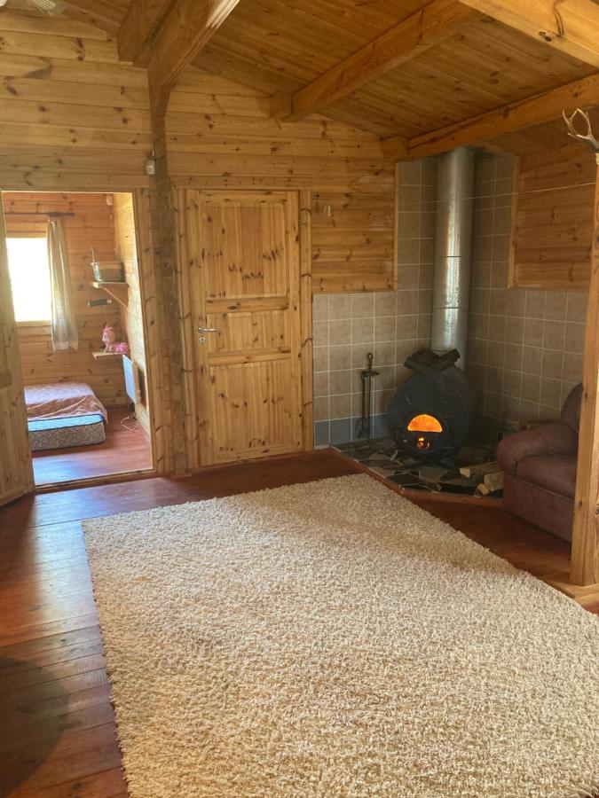 Villa Pikkjaerve Puhkemaja Tilsi Exterior foto