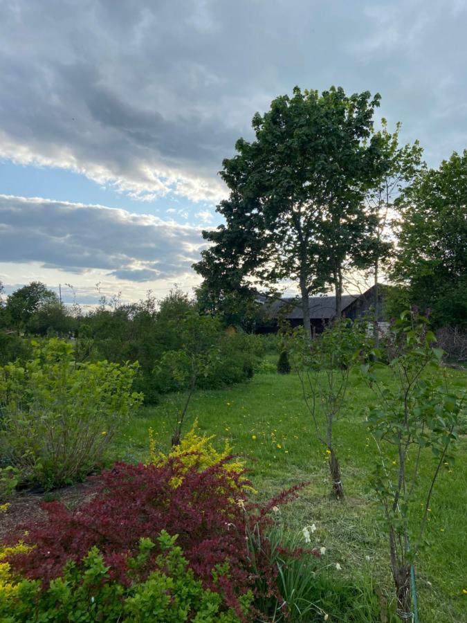 Villa Pikkjaerve Puhkemaja Tilsi Exterior foto